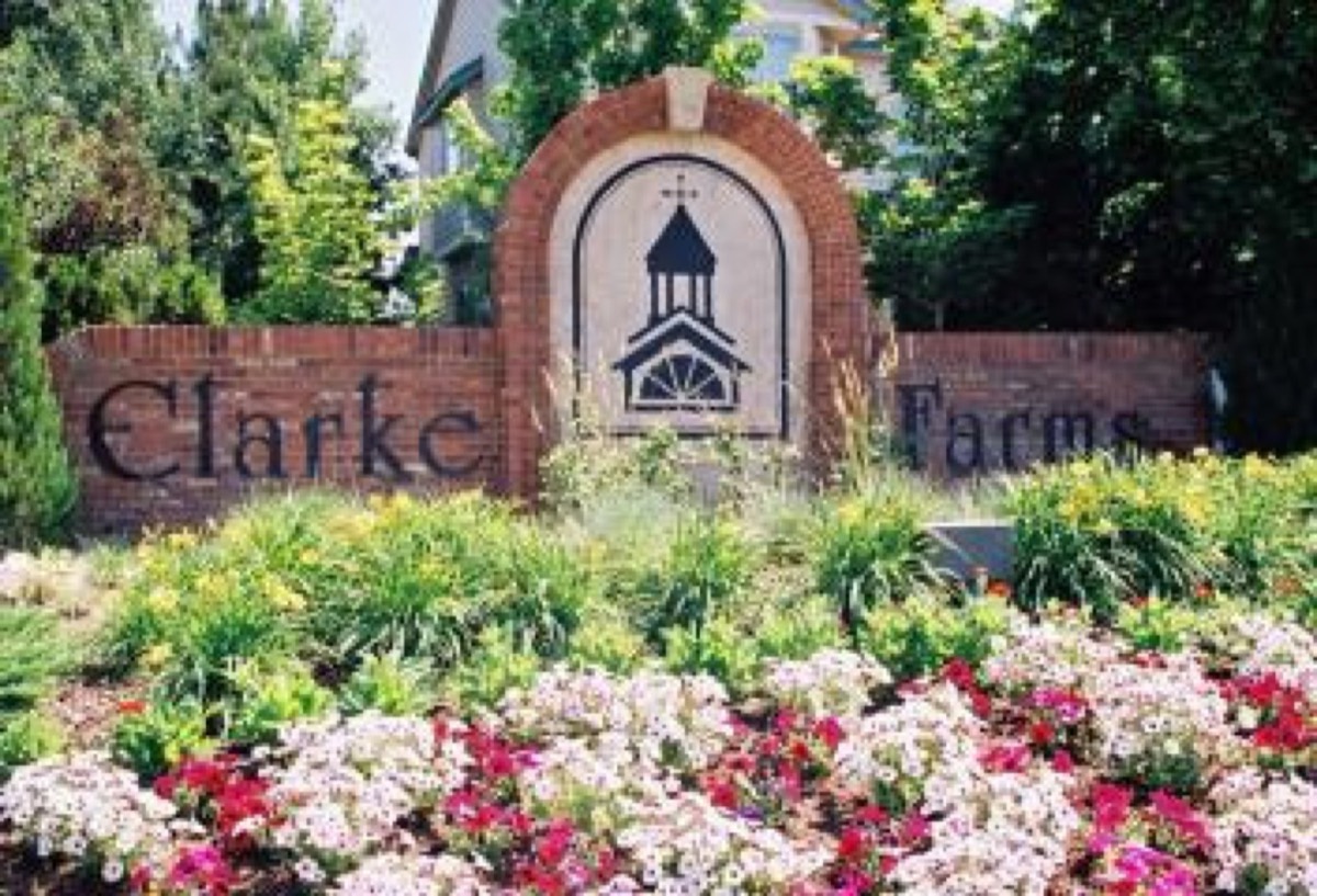 Clarke Farms Web Design & SEO