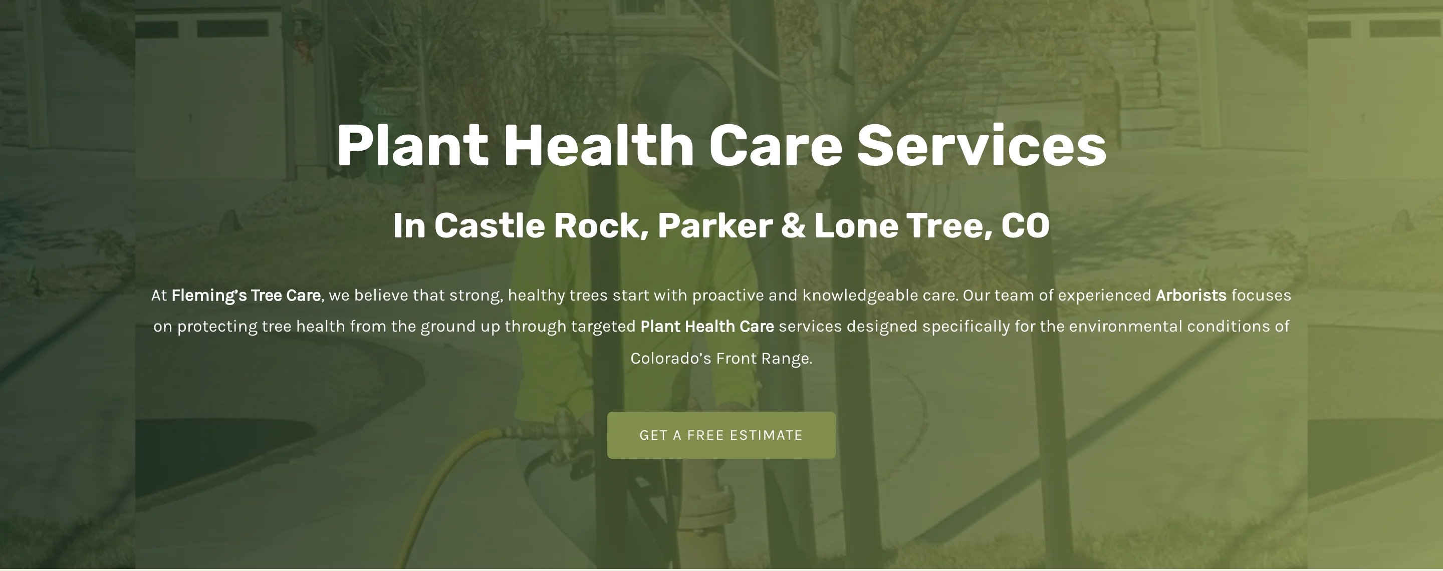 A Flemings Tree Care service page on WordPress, headlined Plant Health Care Services in Castle Rock, Parker and Lone Tree