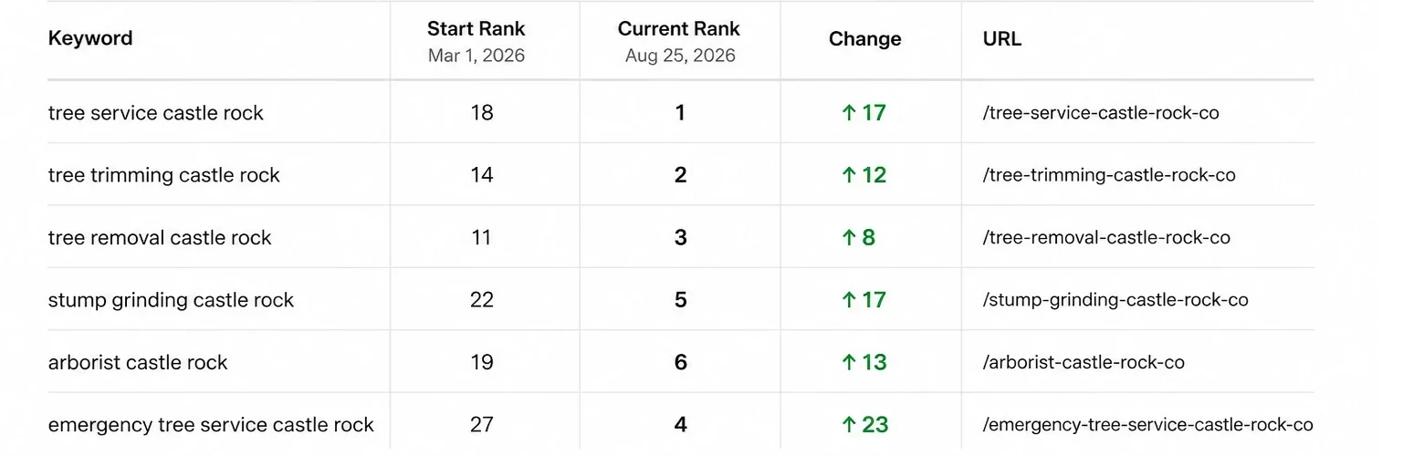A rank tracking table for a Castle Rock tree service on WordPress: six tracked terms, each with its own page, moving from 11th to 27th up to 1st to 6th between March and August 2026